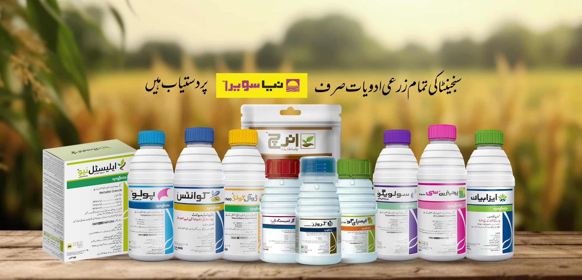 sec_banner_dhaan-ki-shann