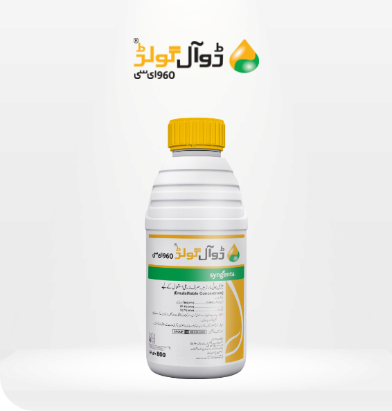 product-inner-banner