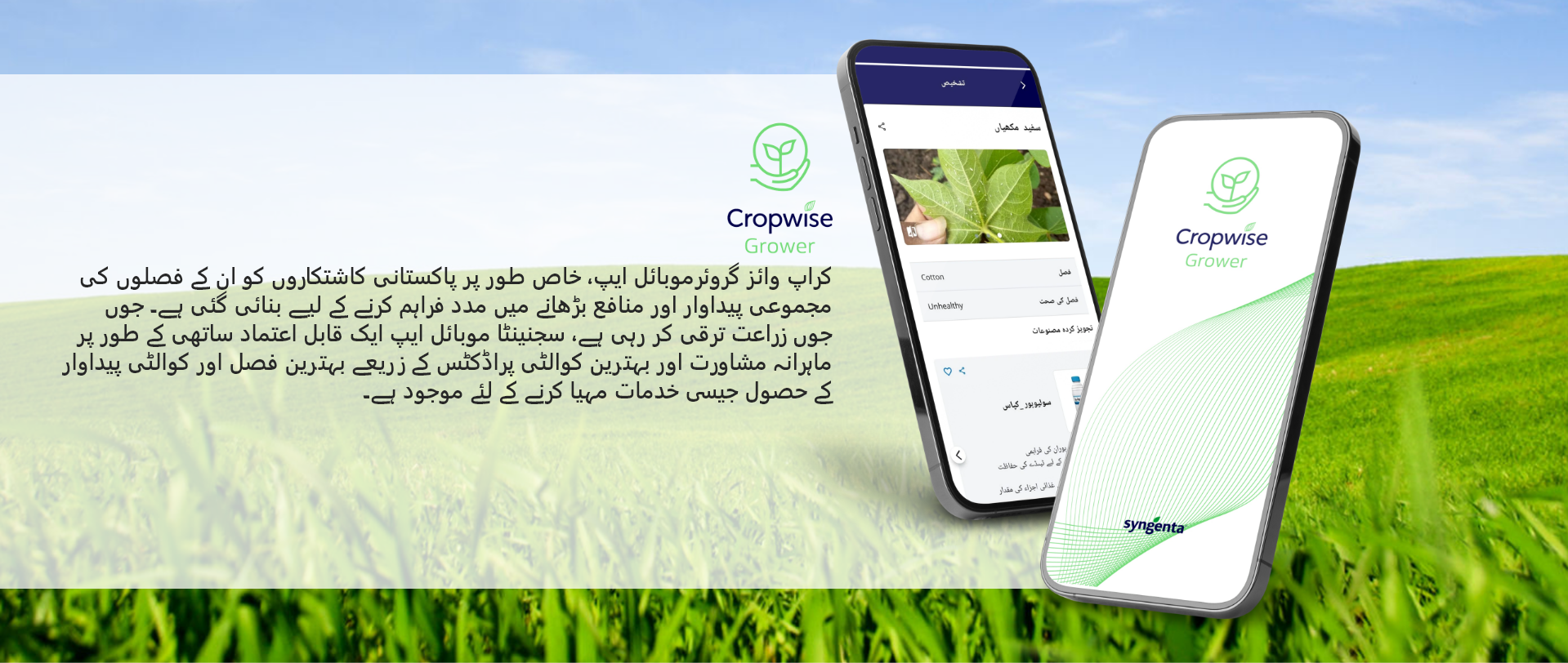 cropwise-image