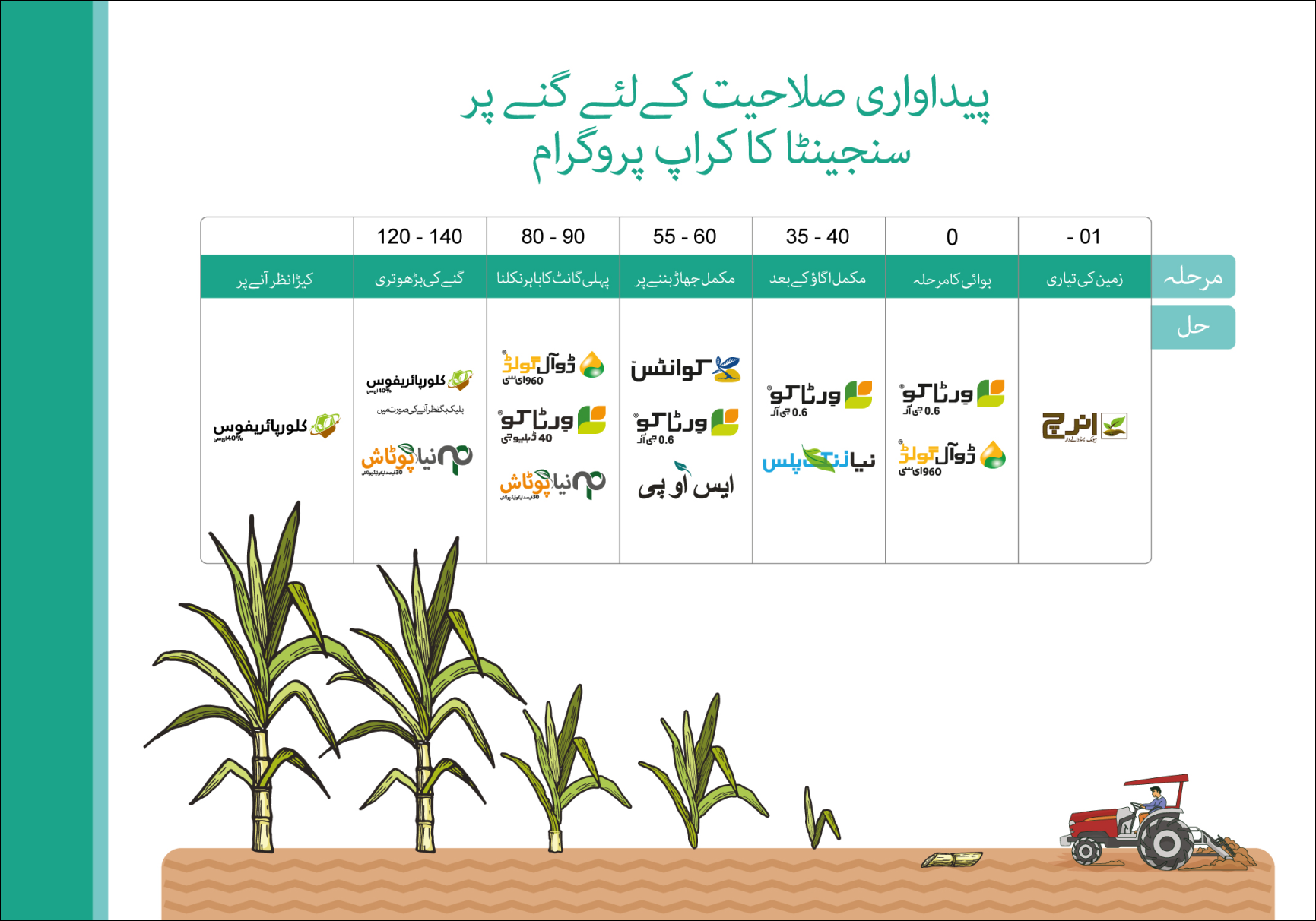 گنا | Syngenta