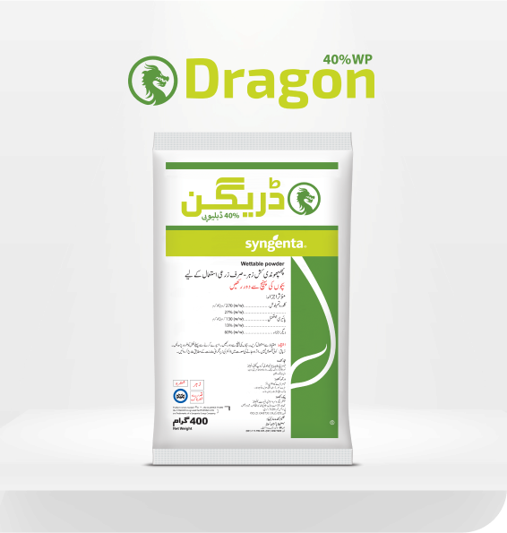 DRAGON-40%-WP-Image
