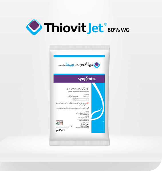 thiovit-jet-80%