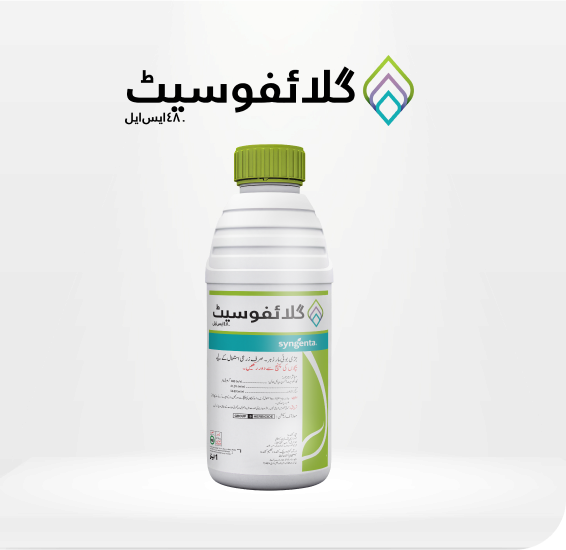 Glyphosate-480-SL-Product-Image