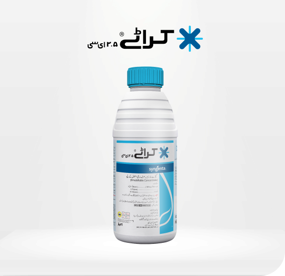 KARATE-025-EC-Product-Image