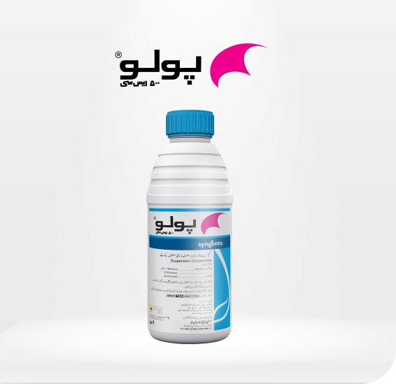 Polo-500-SC-Product-Image