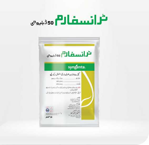 Transform-WG-Product-Image-UR