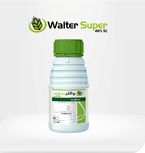 WALTER-SUPER-48%25-SC-Product-Image