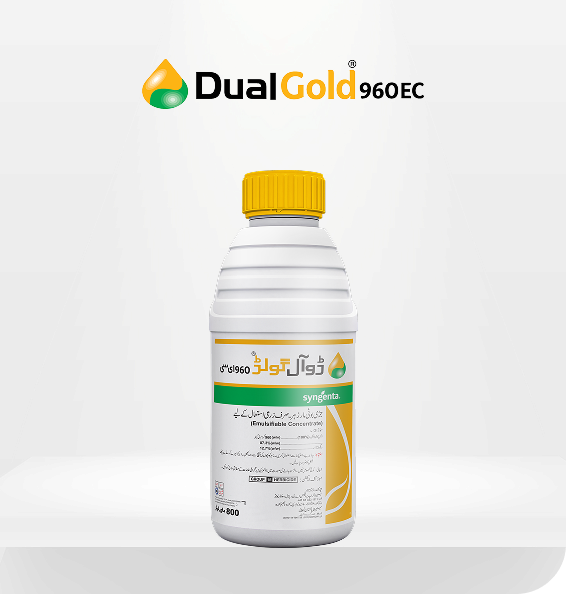 product-inner-banner