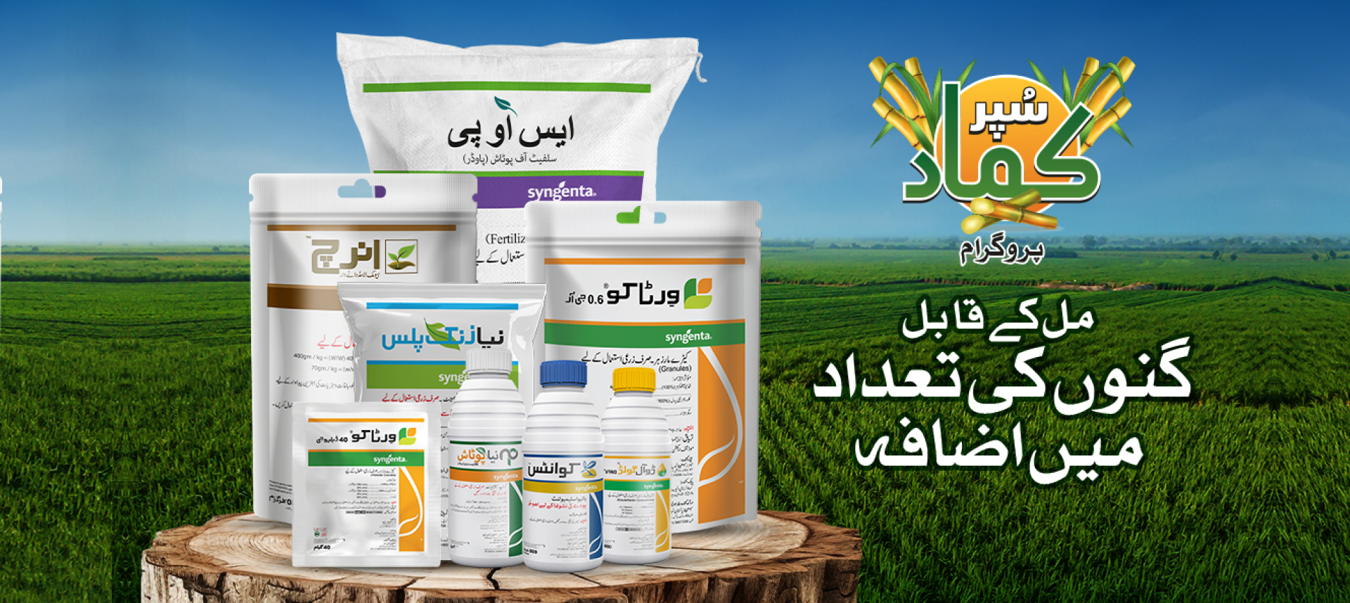 Sugarcane Banner