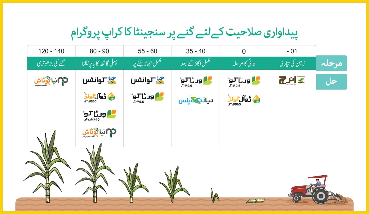 Sugarcane Crop Program