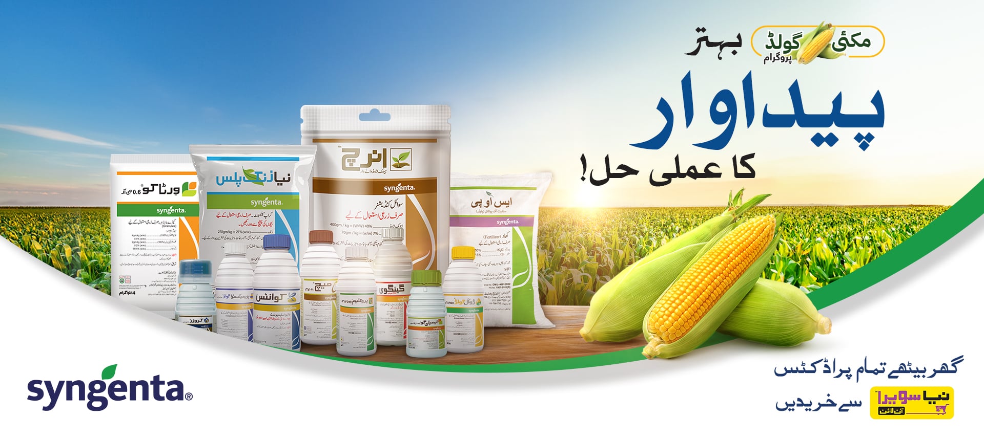 Corn Crop Banner