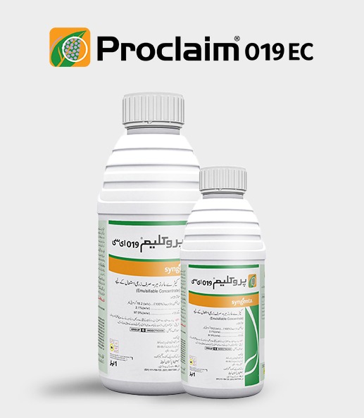 Proclaim-019-EC-Product