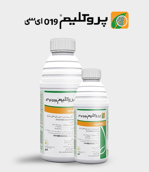 Proclaim-019-EC-Product