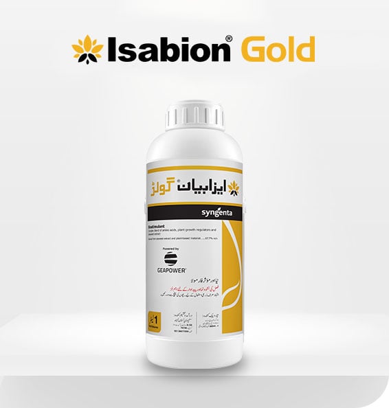 product-inner-banner