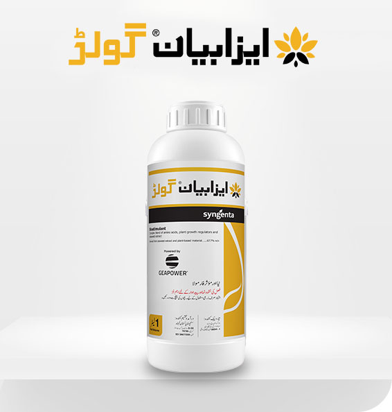 product-inner-banner