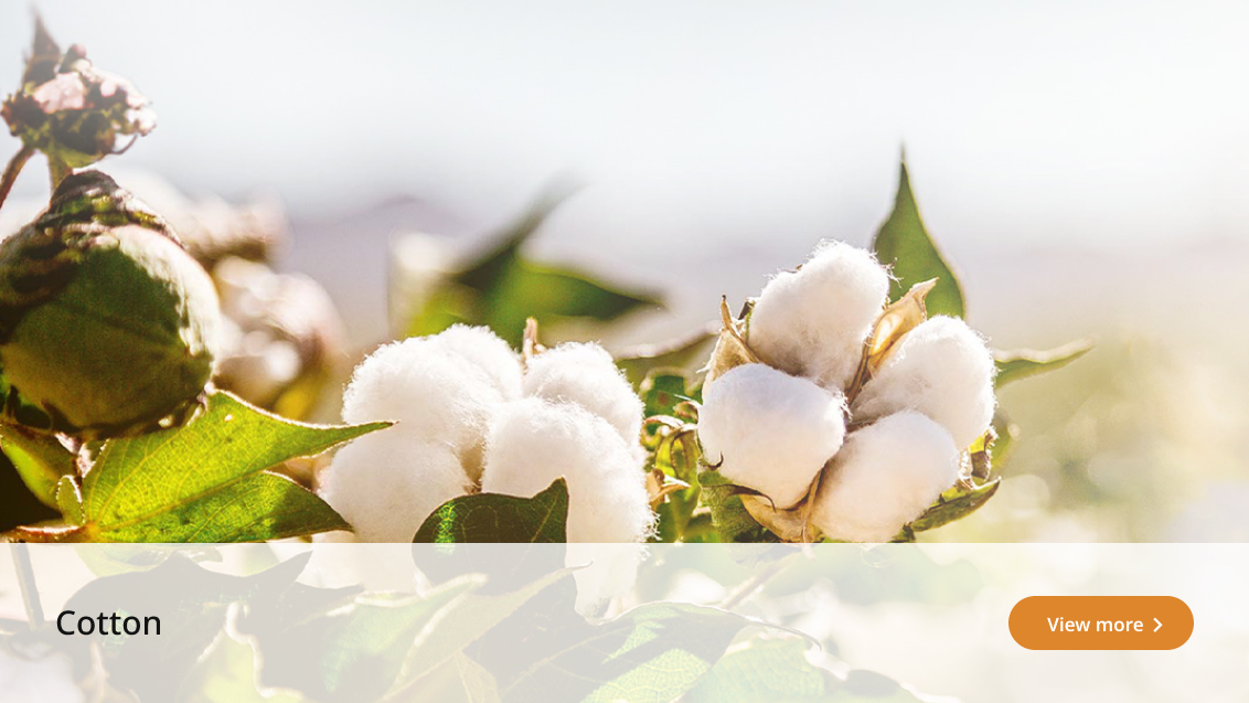 crop-solution-cotton