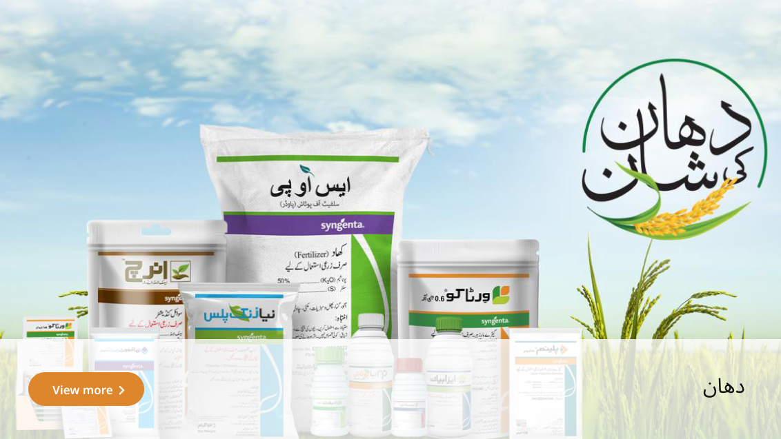 crop-solution-rice-urdu