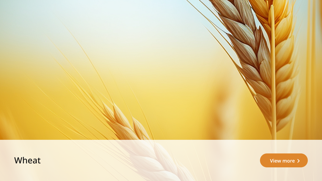 crop-solution-wheat
