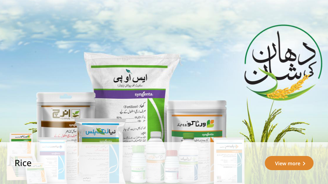 crop-solution-rice