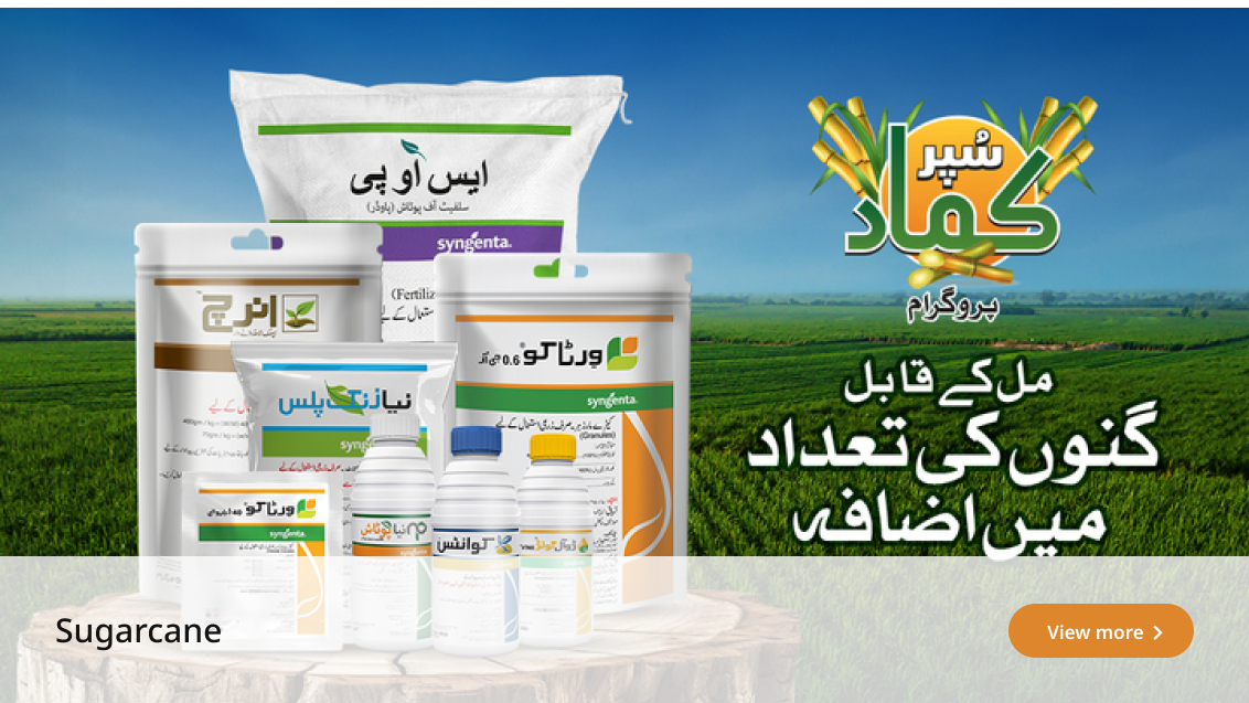 crop-solution-sugarcane.png
