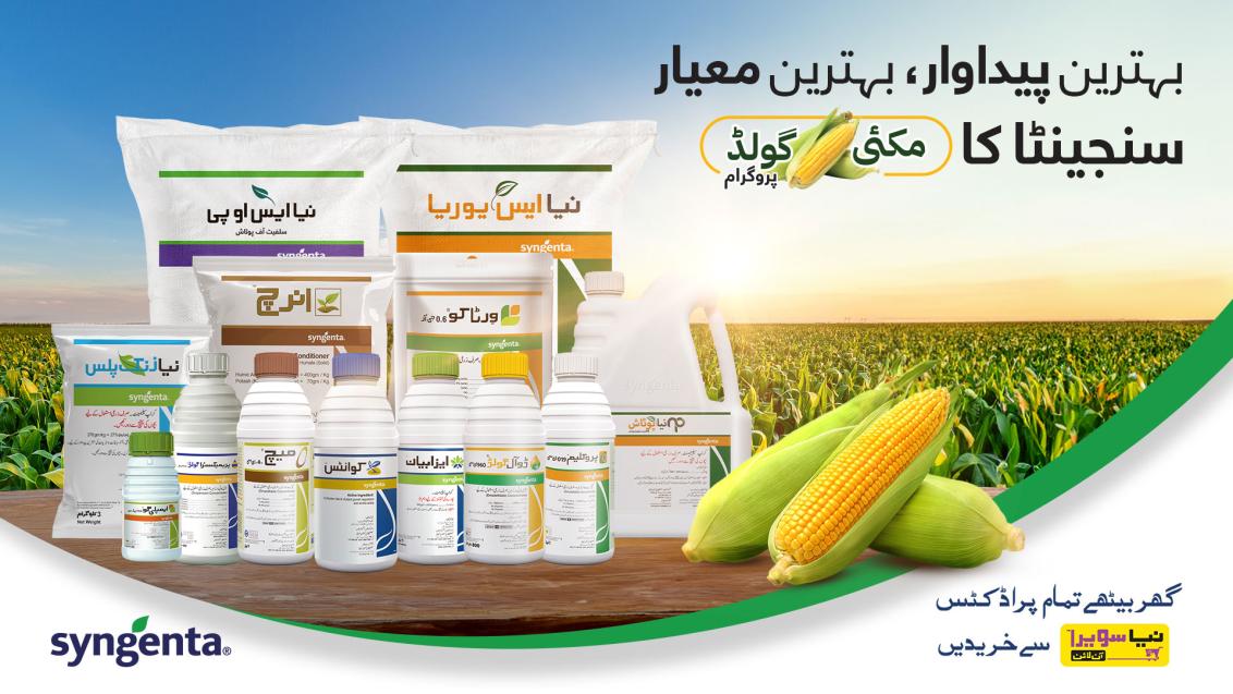 makai-gold-syngenta-banner.jpg