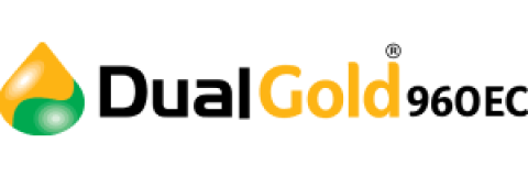 dualgold