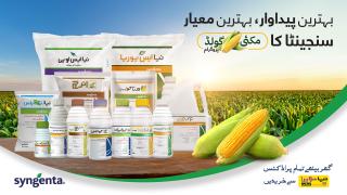 makai-gold-syngenta-banner.jpg