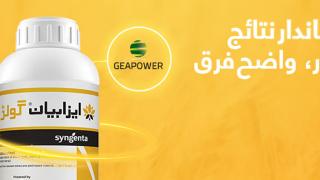 Isabion-Gold--Banner