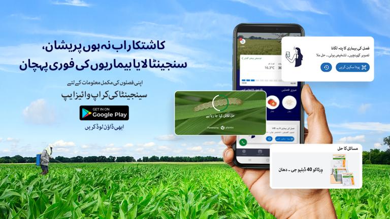cropwise plantix