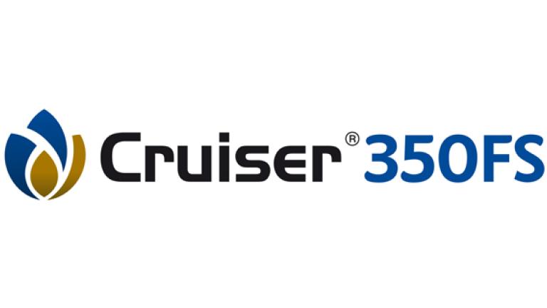 cruiser_resized_logo