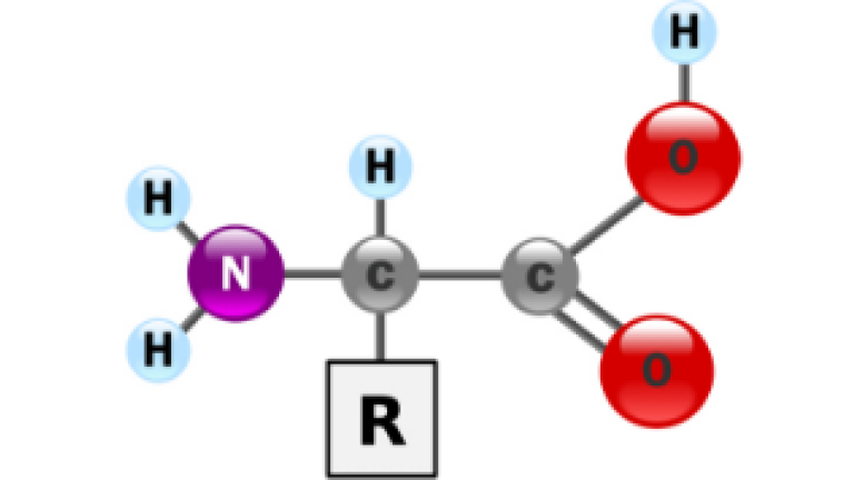 01_amino_acid