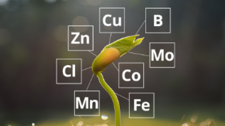 01_micronutrients