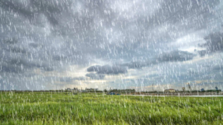 rain
