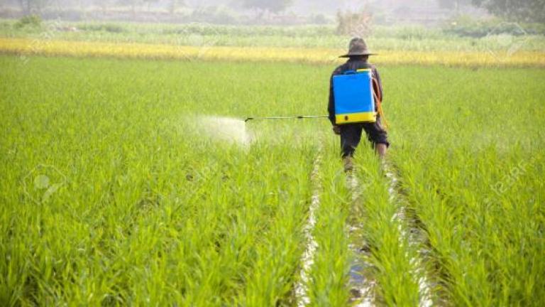 broad-spectrum_pesticide.jpg