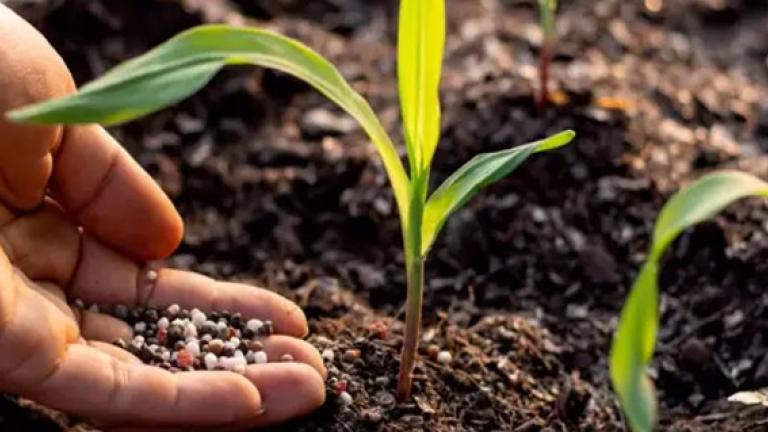 improves-plant-growth.jpg