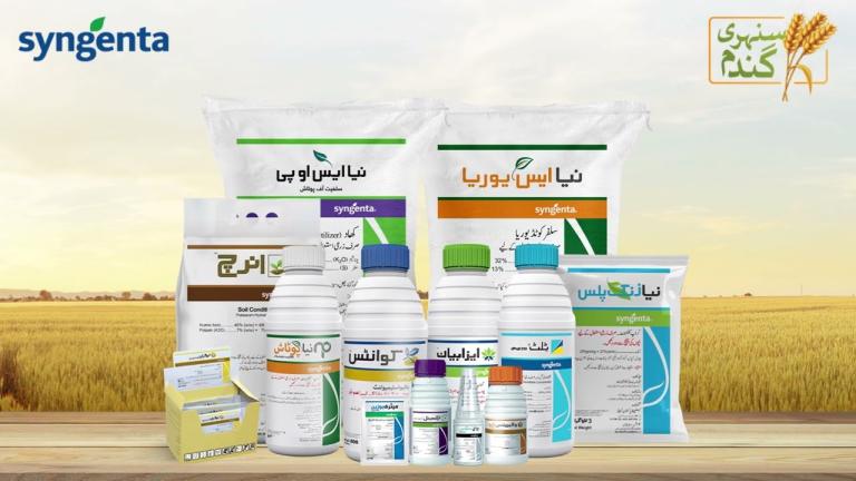 Sunehri Gandum Crop Program | سنہری گندم کراپ پروگرام