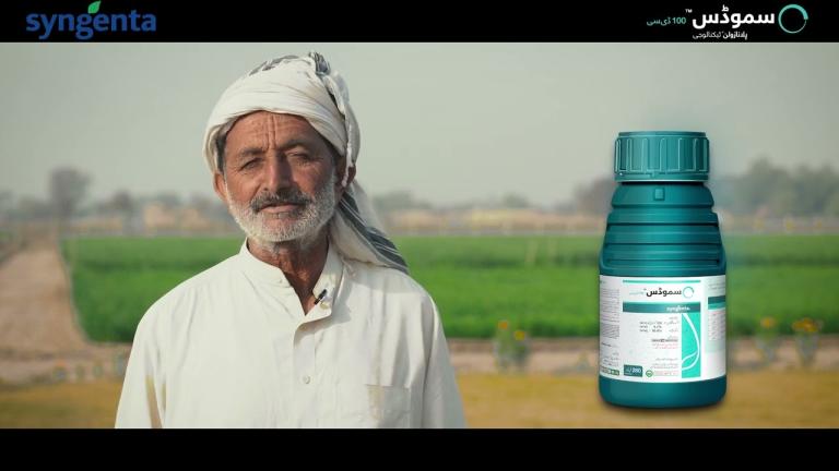 سموڈس | ہر چنائی سے بھرور کمائی | کاشتکار محمد یوسف کی رائے
