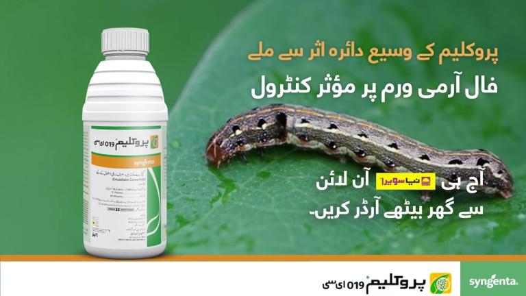 پروکلیم - فال آرمی ورم کا صفایا!