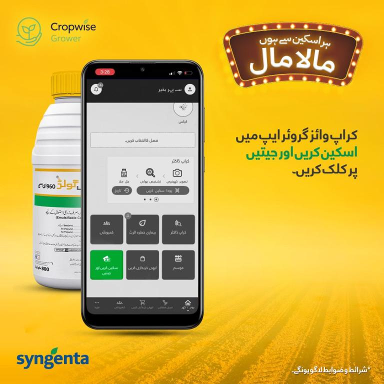 Arabic promotional graphic with smartphone app screen and Syngenta product bottle on yellow background