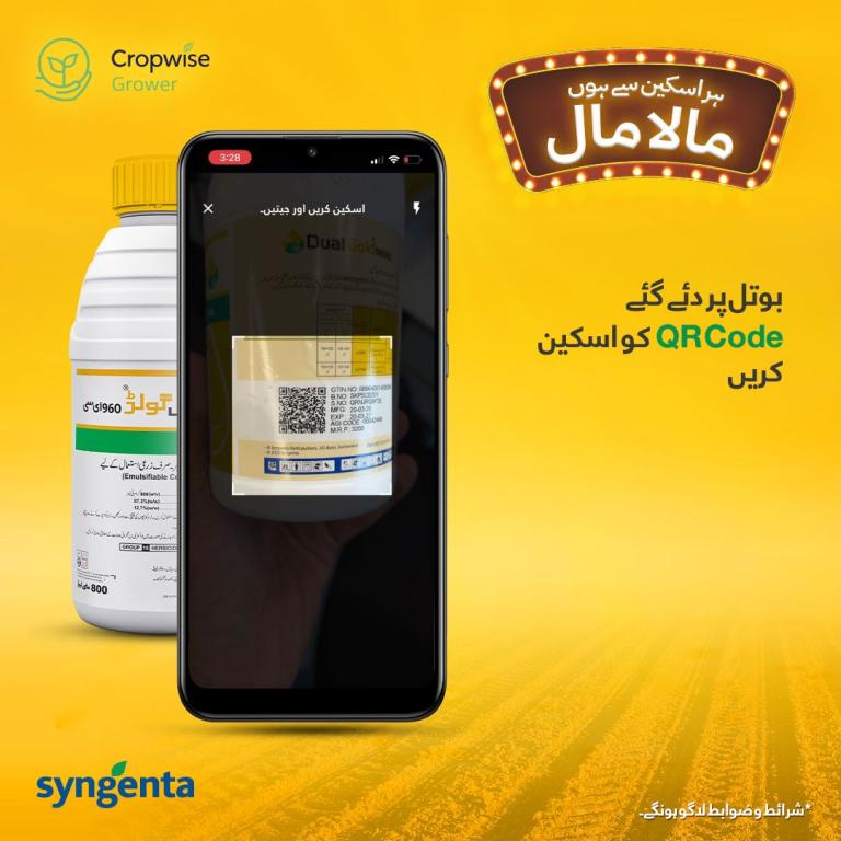 Smartphone scanning QR code on Syngenta product bottle, Arabic text on yellow background