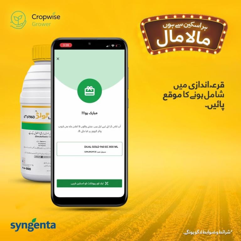 Arabic promotional graphic with smartphone app screen and Syngenta product bottle on yellow background