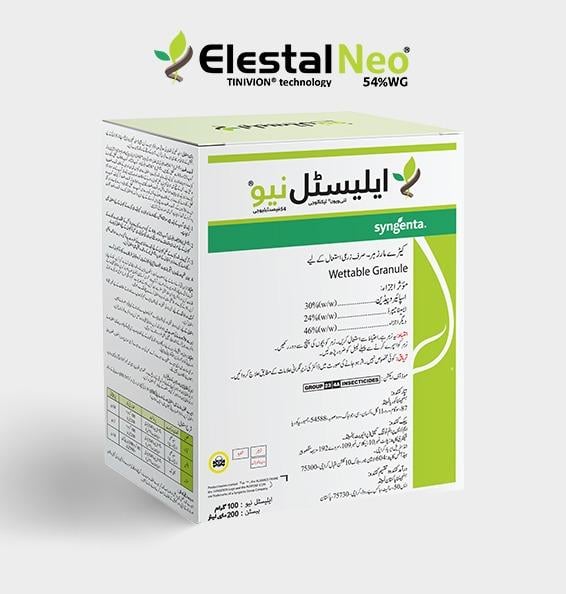 Elestal Neo Img
