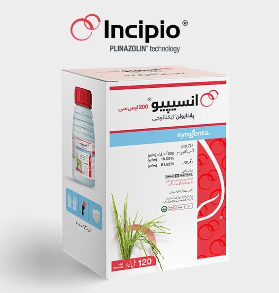 incipo-image