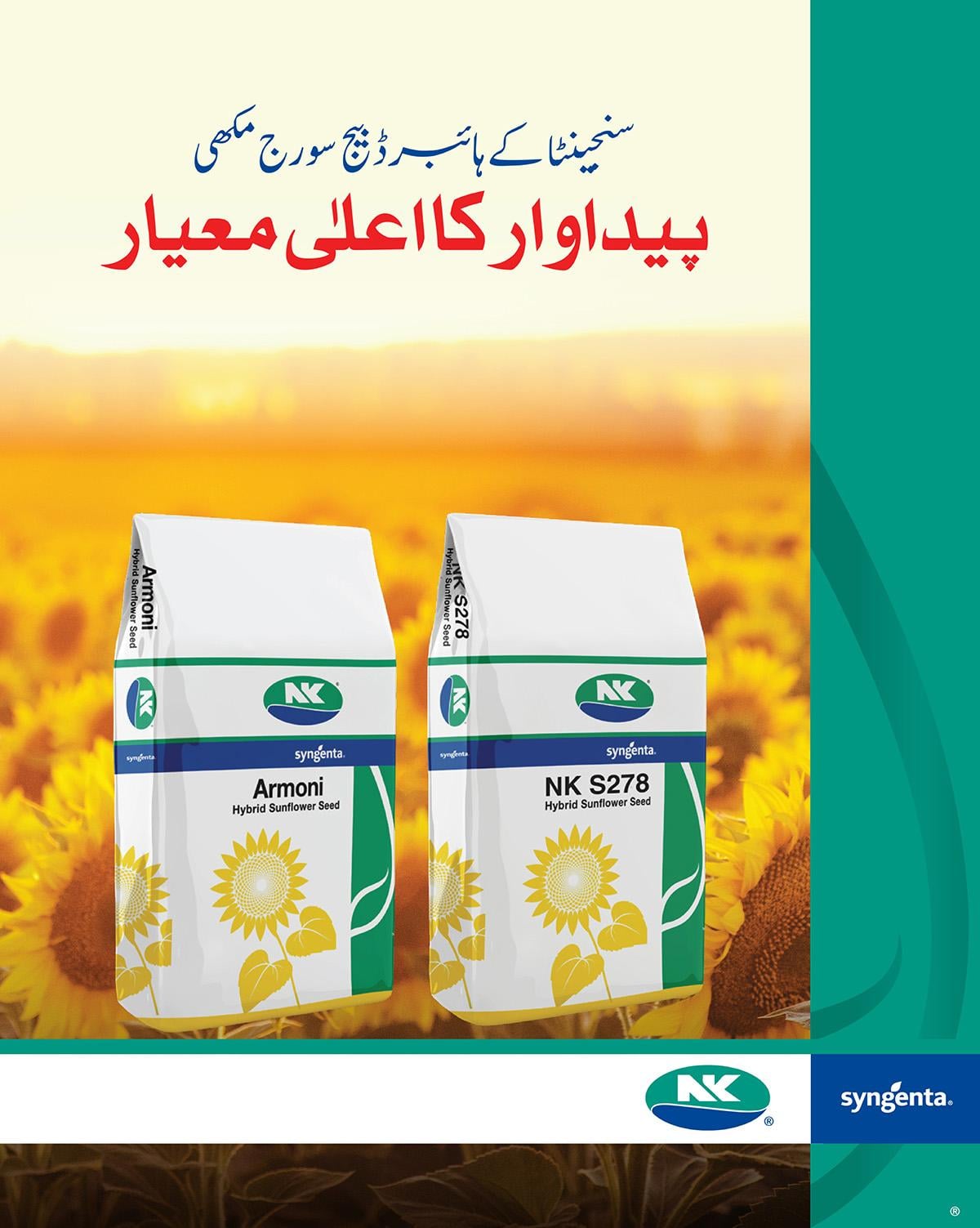 seed_0001_sunflower-images-0.jpg