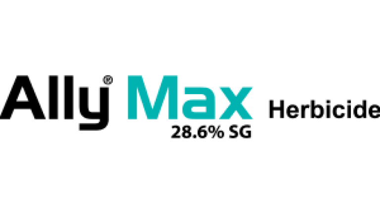 ally-max-logo
