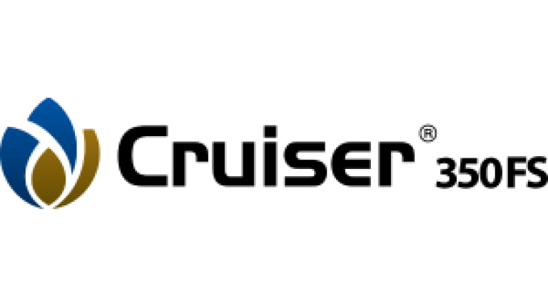 cruiser