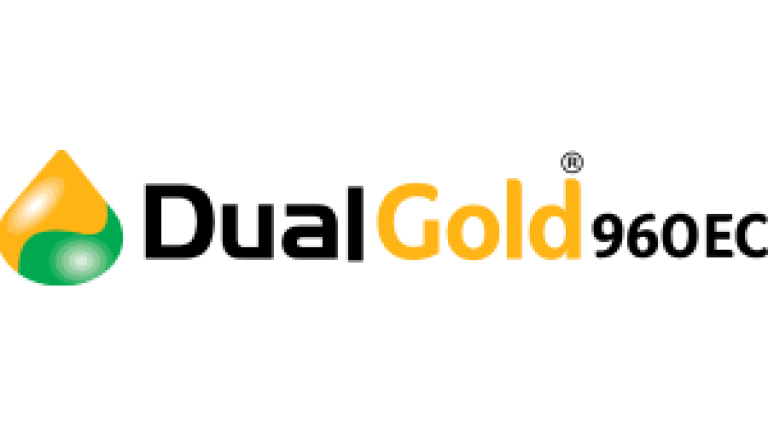 dualgold