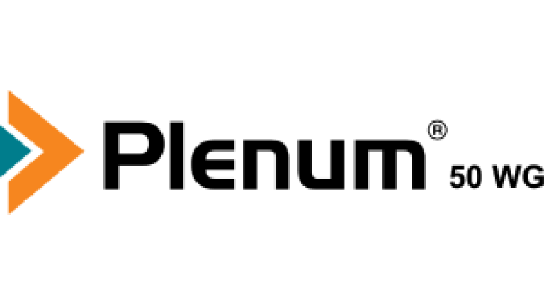 plenum