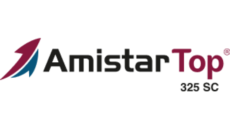 amistartop