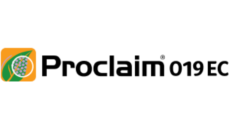 proclaim